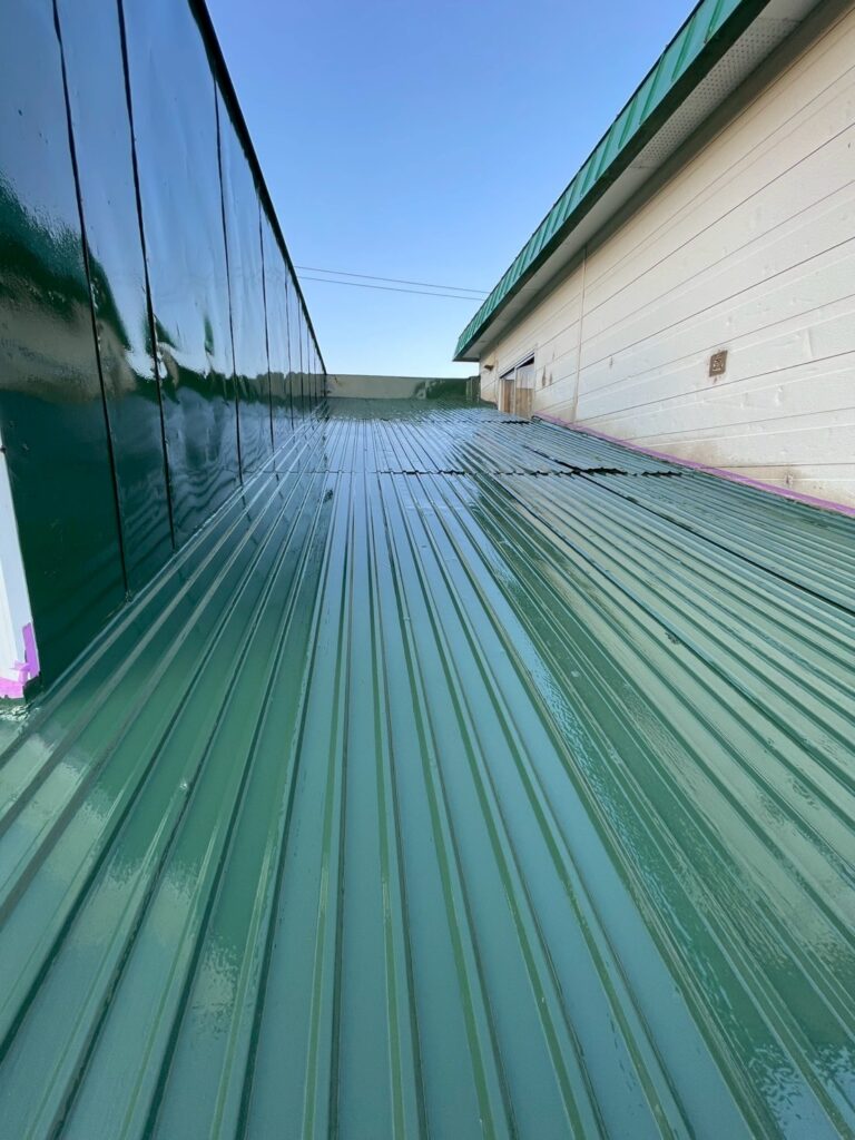 中央区C様邸　屋根塗装